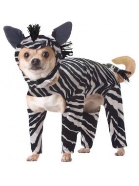 💞 Size XS Pet Animal Planet Zebra Puppy Dog & Kitty Cat Costume